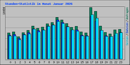 Stunden-Statistik im Monat Januar 2026